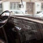 Sarai Kling Profile Picture