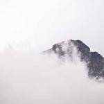 Norris Harber Profile Picture