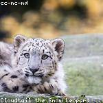 Eleazar Fritsch Profile Picture