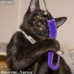 Verlie Berge Profile Picture