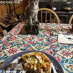 Andres Hansen Profile Picture