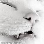 Dylan Buckridge Profile Picture