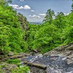 Ruby Walker Profile Picture