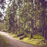 Elroy Miller Profile Picture