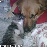 Ofelia Zulauf Profile Picture