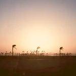 Julien Hand Profile Picture