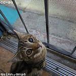 Cade Hayes Profile Picture