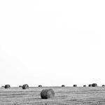 Alva McGlynn Profile Picture