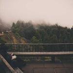 Tony Dickens Profile Picture