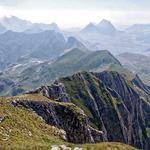 Lucious Larson Profile Picture