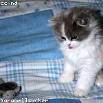 Natalie Anderson Profile Picture