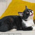 Verdie Auer Profile Picture