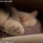 Bettye Macejkovic Profile Picture