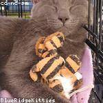 Sabina Schinner Profile Picture