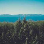 Georgianna Hilpert Profile Picture