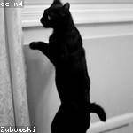 Lolita Jacobs Profile Picture