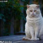 Leonel Crist Profile Picture