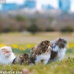 Lilian Block Profile Picture