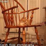 Seamus Wyman Profile Picture