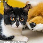 Susie Stiedemann Profile Picture