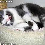 Hazel Nikolaus Profile Picture