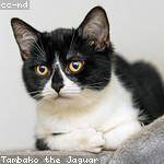 Mariela Franecki Profile Picture