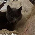 Jennyfer Funk Profile Picture