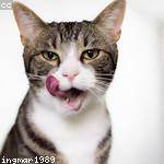 Tanner Bergstrom Profile Picture