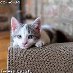 Clark Roberts Profile Picture