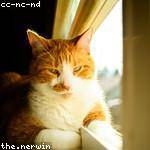 Melyssa Emmerich Profile Picture