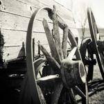 Camden Friesen Profile Picture