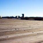 Queenie Ferry Profile Picture