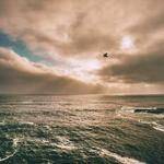 Pinkie Kub Profile Picture