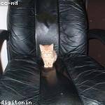 Willow Cartwright Profile Picture