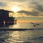 Clotilde Rowe Profile Picture