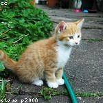 Vernie Daugherty Profile Picture