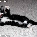 Elise Hartmann Profile Picture