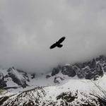 Sandra Rice Profile Picture