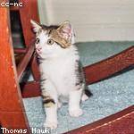 Stewart Zboncak Profile Picture