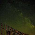 Dion Rau Profile Picture