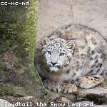 Helena Nienow Profile Picture