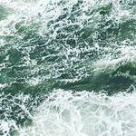 Sydni Terry Profile Picture