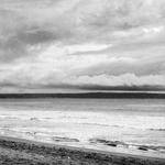 Buck Fisher Profile Picture