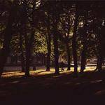 Lavon Hirthe Profile Picture