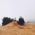 Madilyn Yost Profile Picture