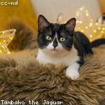 Oral Blanda Profile Picture