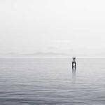 Judge Kling Profile Picture