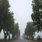 Lexie Reinger Profile Picture