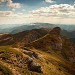 Bonita Larkin Profile Picture