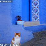 Hayley Schulist Profile Picture